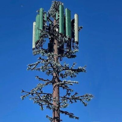 Αρθρωτός σχεδιασμός Bionic Tree Tower με προσαρμόσιμα είδη δέντρων και ύψος που υποστηρίζει βάσεις κεραιών, διαχείριση καλωδίων και συλλέκτες ανανεώσιμης ενέργειας