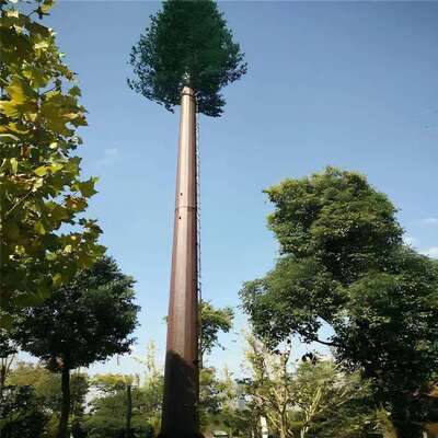 Βιονικός Πύργος Δέντρου με ενσωματωμένη διαχείριση καλωδίων και κρυφές πλατφόρμες που υποστηρίζουν εξοπλισμό τηλεπικοινωνιών μικροκυμάτων και περιβαλλοντικής παρακολούθησης