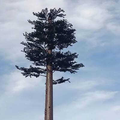 Τεχνητή δομή δέντρου Bionic Tree Tower με αρθρωτό σχεδιασμό για τηλεπικοινωνίες και ενσωμάτωση περιβαλλοντικών αισθητήρων