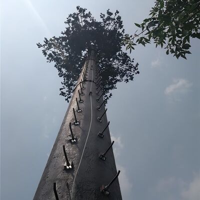 18 27 35 μέτρων Καμουφλαρισμένο Palm Tree Telecom Tower For Resort Hotel Landscape
