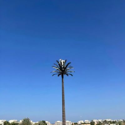 Βιονικοί καμουφλαρισμένοι πύργοι κινητών τηλεφώνων GSM κεραία ατσάλινος μονοπόλος Πύργος τηλεπικοινωνιών γαλβανισμός