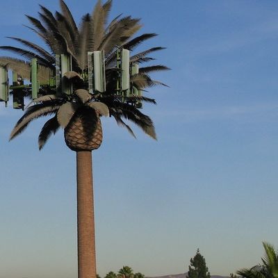 Ζυγισμένο GSM Κινητό Bionic Palm Tree Αντένα Πύργος Μονόπόλος 5g Πύργος Καμουφλάζ
