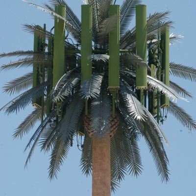 Ζυγισμένο GSM Κινητό Bionic Palm Tree Αντένα Πύργος Μονόπόλος 5g Πύργος Καμουφλάζ