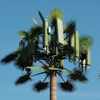 Ζυγισμένο GSM Κινητό Bionic Palm Tree Αντένα Πύργος Μονόπόλος 5g Πύργος Καμουφλάζ