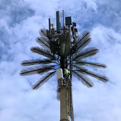 Ζυγισμένο GSM Κινητό Bionic Palm Tree Αντένα Πύργος Μονόπόλος 5g Πύργος Καμουφλάζ