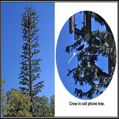 Σχεδιασμός καμουφλάζ του Bionic Tree Tower για το τοπικό χώρο και την εφαρμογή του οικολογικού τουρισμού