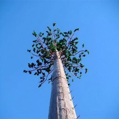 40M Bionic Tree Tower with artificial trunks branches and leaves made from high strength plastics and fiberglass materials