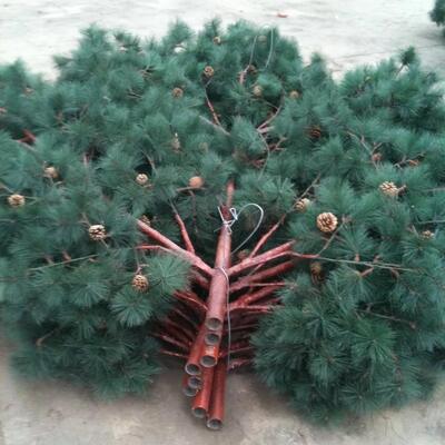 Τεχνητή δομή δέντρου Bionic Tree Tower με αρθρωτό σχεδιασμό για τηλεπικοινωνίες και ενσωμάτωση περιβαλλοντικών αισθητήρων