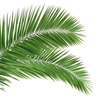 Βιονικός Πύργος Δέντρου με εμφάνιση δέντρου που διαθέτει κλαδιά και κορμούς από υαλοΐνες για απρόσκοπτη ενσωμάτωση στο τοπίο