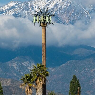 Προσαρμόσιμα αρθρωτά εξαρτήματα πύργου βιονικού δέντρου για ύψος και είδος δέντρου ώστε να ταιριάζουν σε διάφορες απαιτήσεις τοπίου