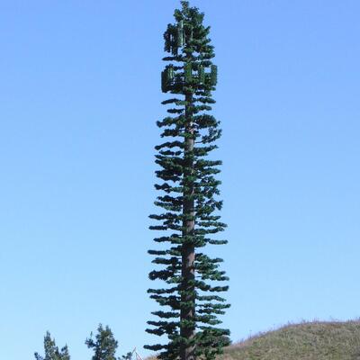 Bionic Tree Tower artificial impact strength KV 27 joules at various temperatures for structural reliability