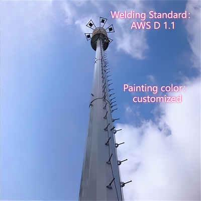 13 22 30 Meter Integrated Platform Monopole Communication Tower For Hospital Complex
