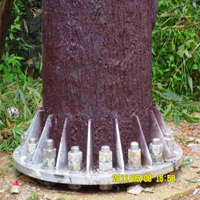 Ισχυρός πύργος Bionic Pine Tree με καμουφλαρισμένα φύλλα και σύστημα κρυφής κεραίας για Landscape Area 5G Δικτυακός τόπος Q345B Galvanized