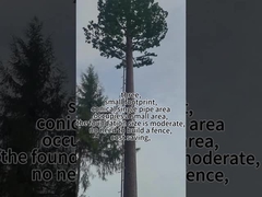 Βιονικό Πύργο Δέντρων